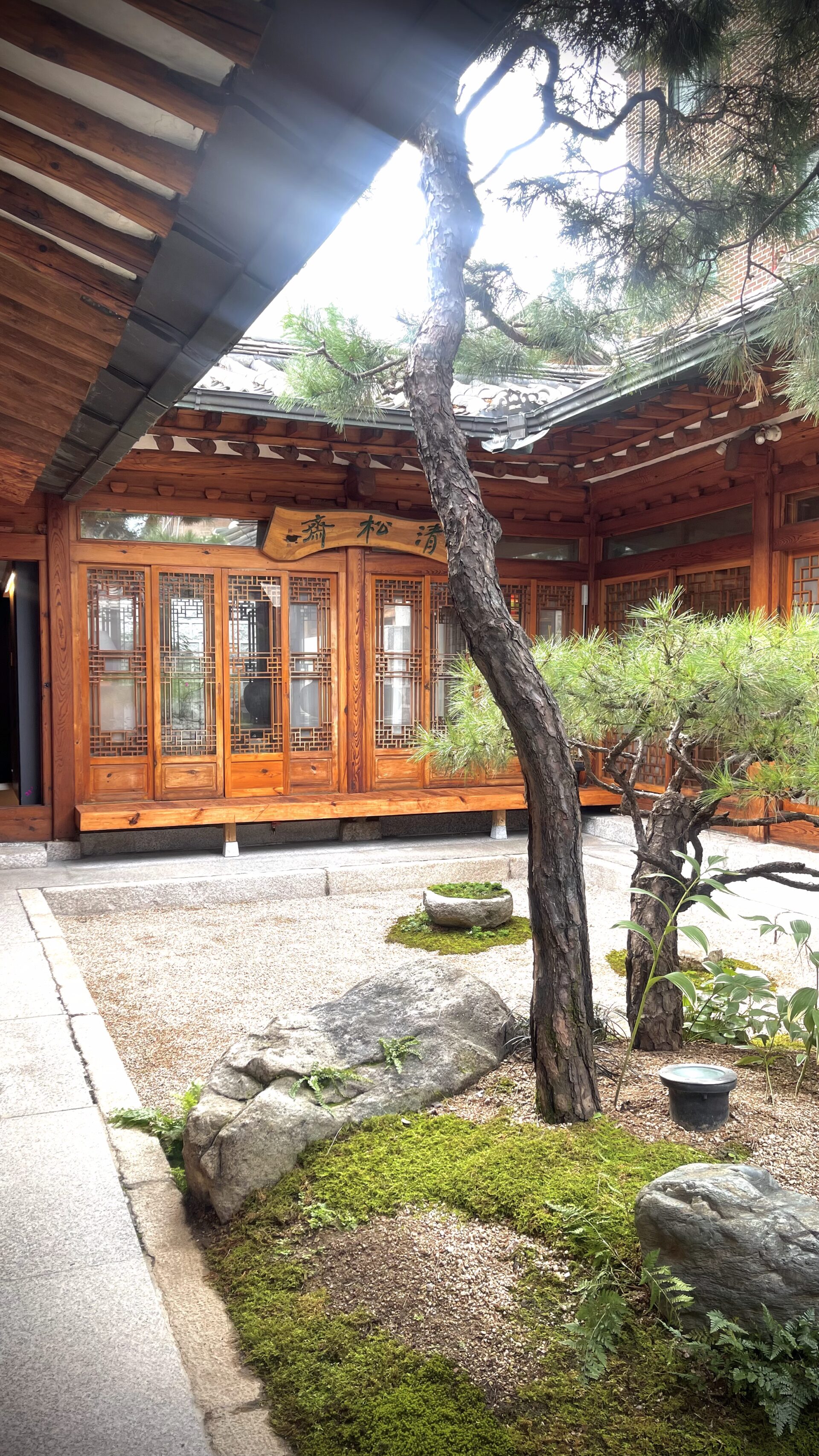 What's Up / 12 Masters